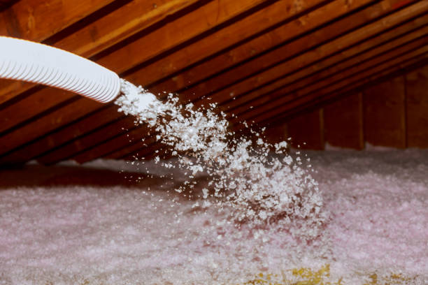 Best DIY Insulation Kits and Guidance in Monongahela, PA